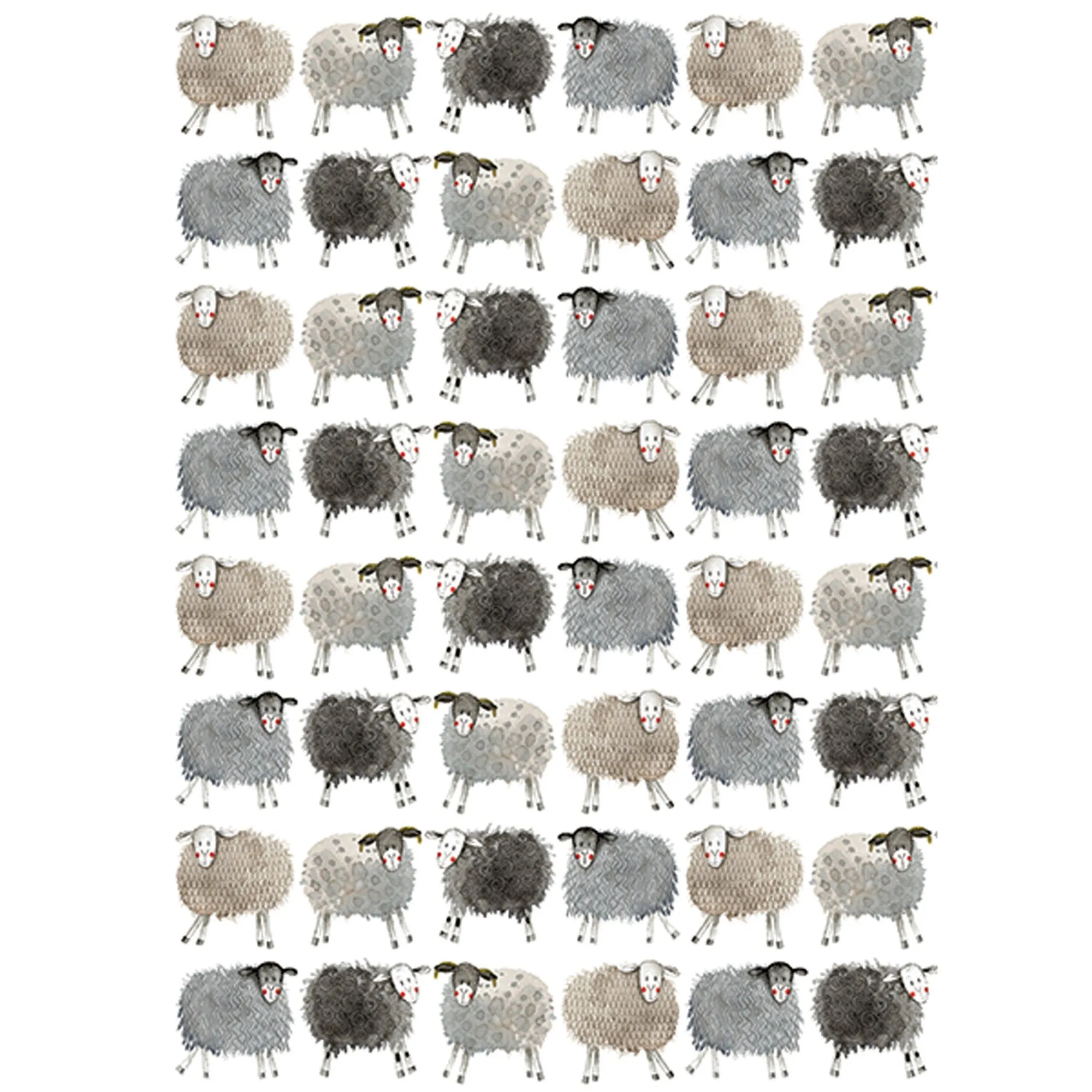 Alex Clark Sheep Gift Wrap