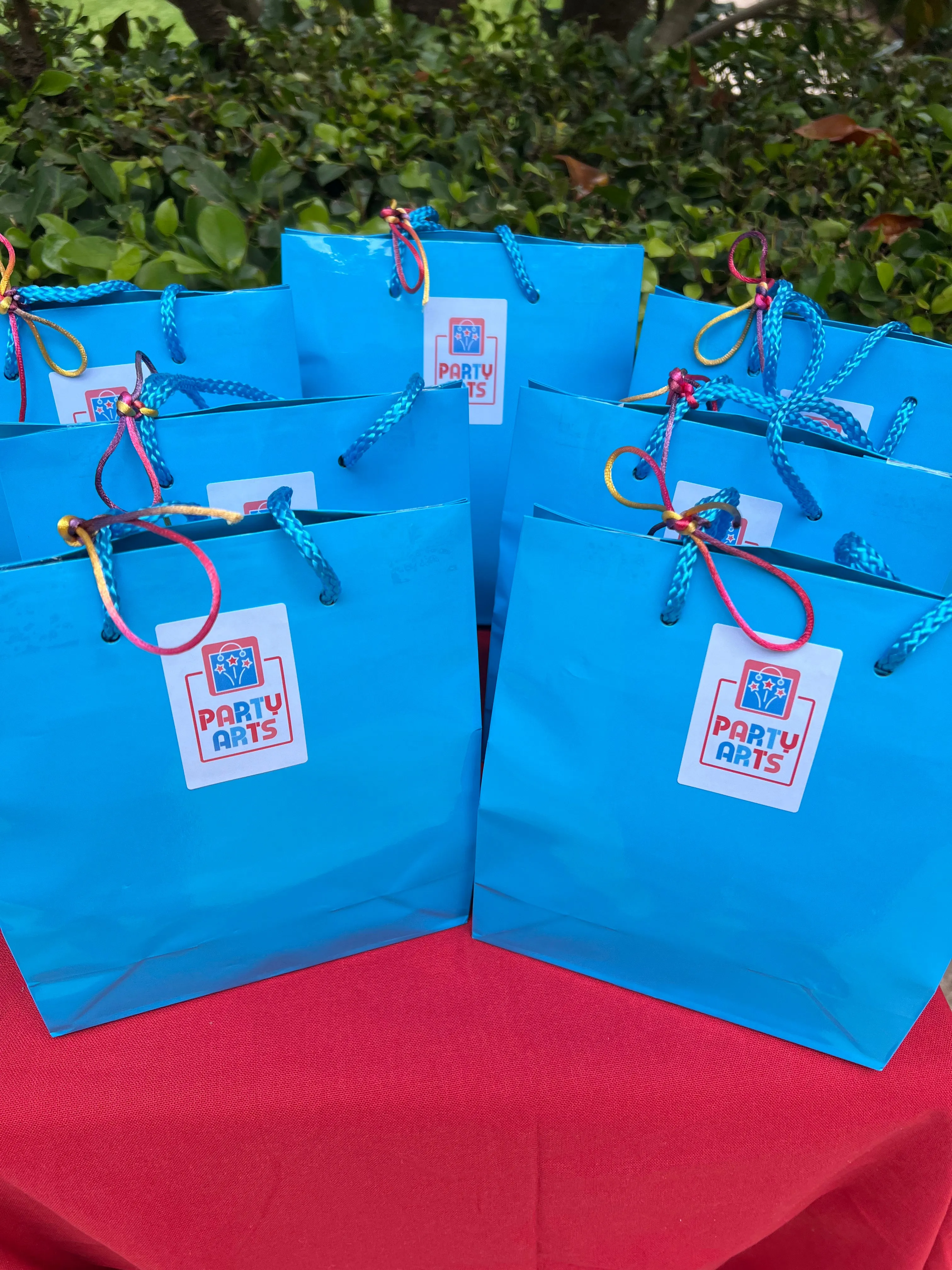 Boys Value Show Bag