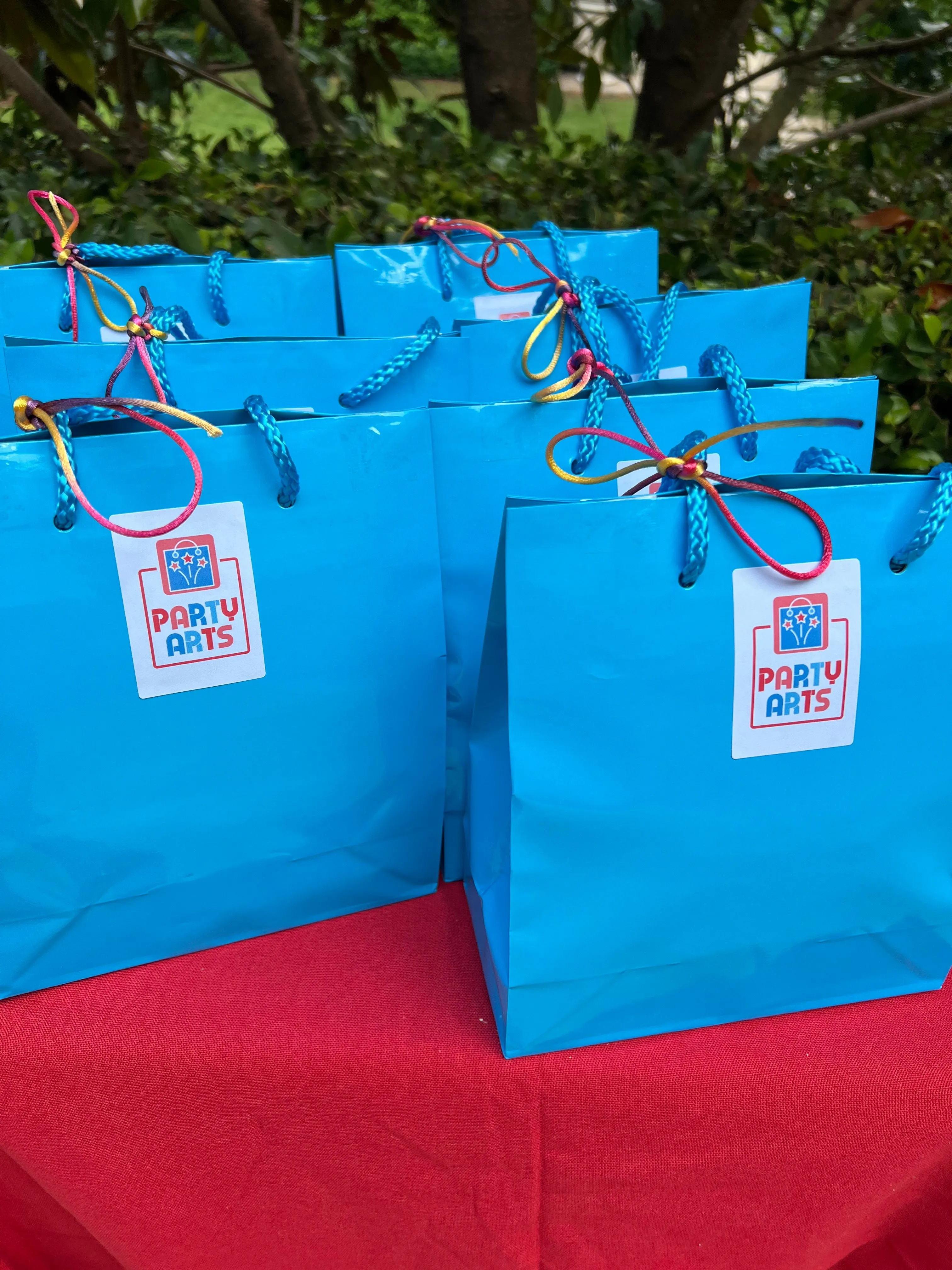 Boys Value Show Bag
