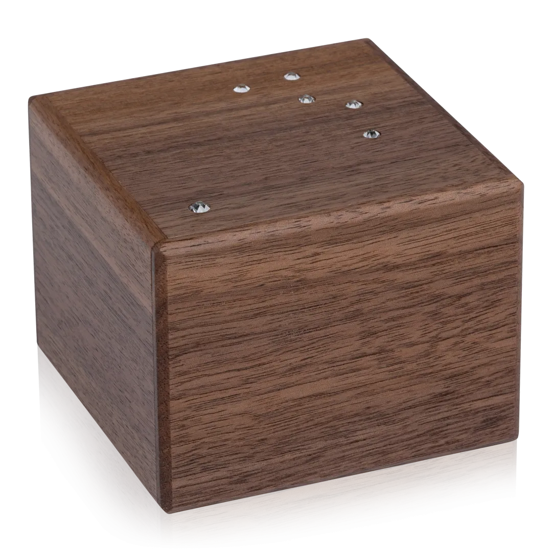 Cassiopeia Puzzle Box