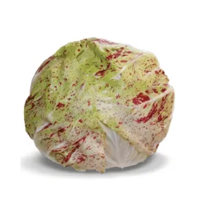 Chicory Radicchio Variegata Di Lusia Seeds | Weston Seeds