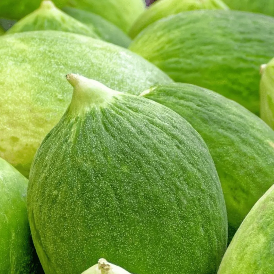 Cucumber Carosello Barattiere Seeds | Weston Seeds