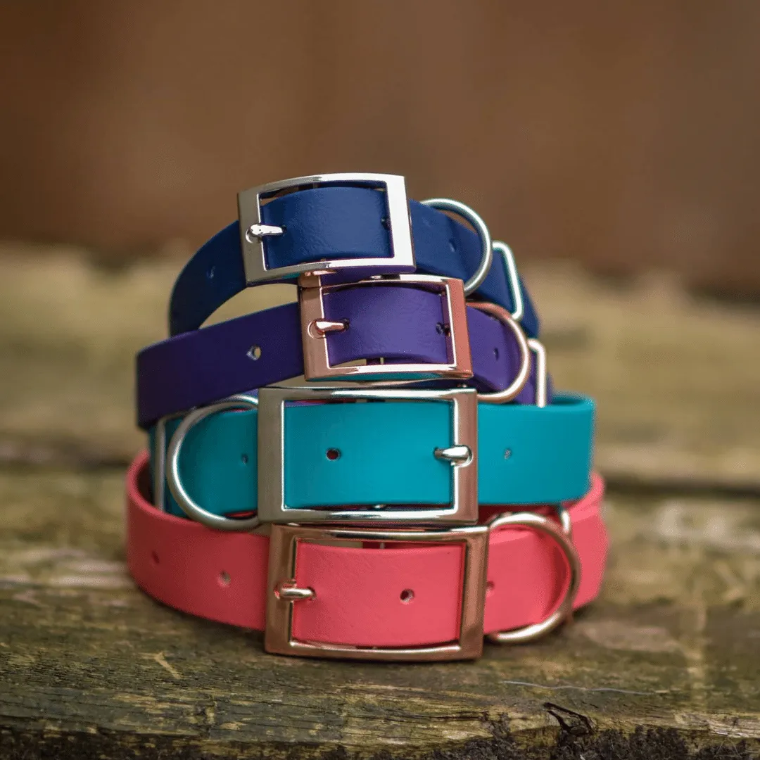 Custom Classic Biothane Collars