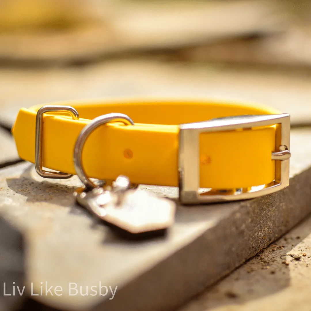 Custom Classic Biothane Collars