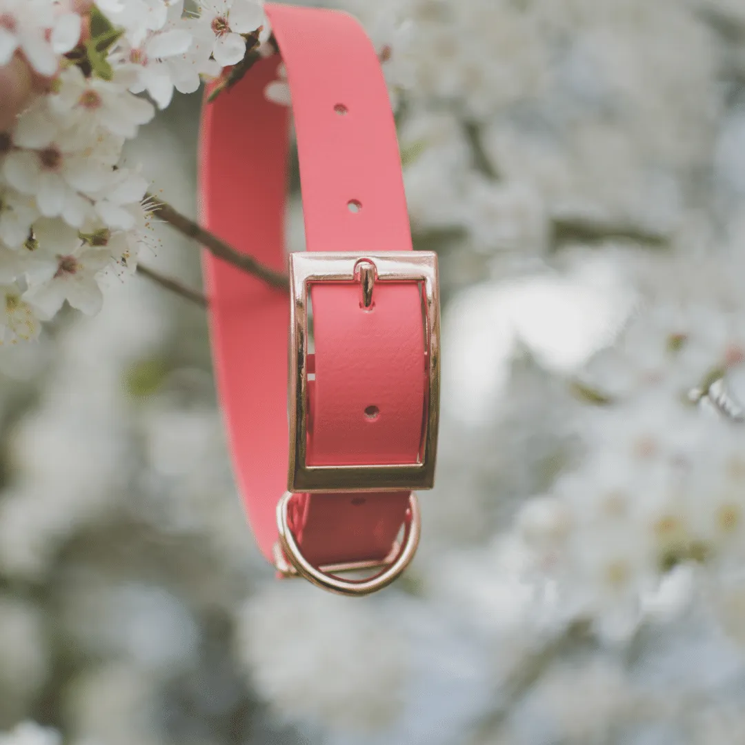 Custom Classic Biothane Collars
