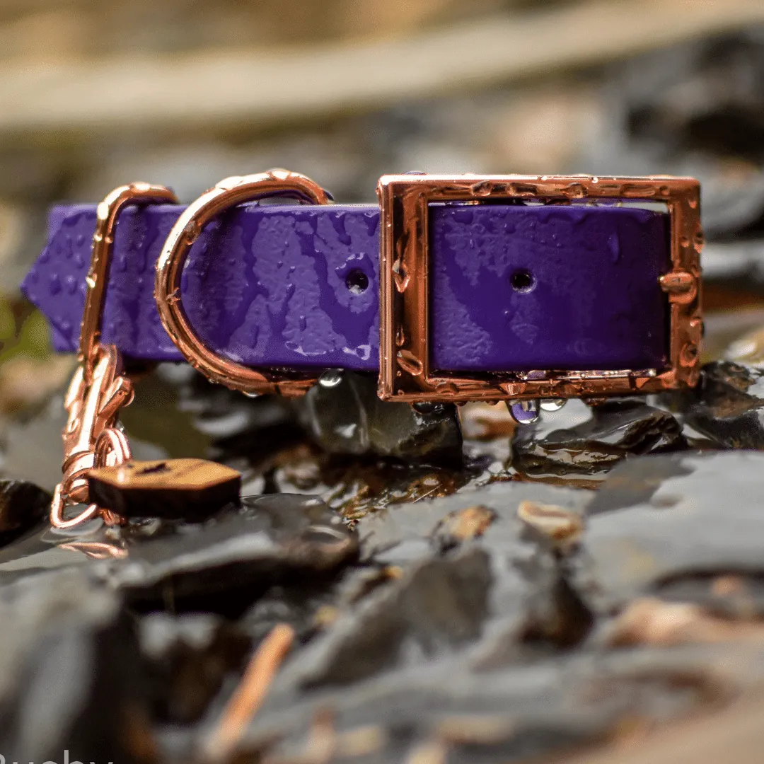 Custom Classic Biothane Collars
