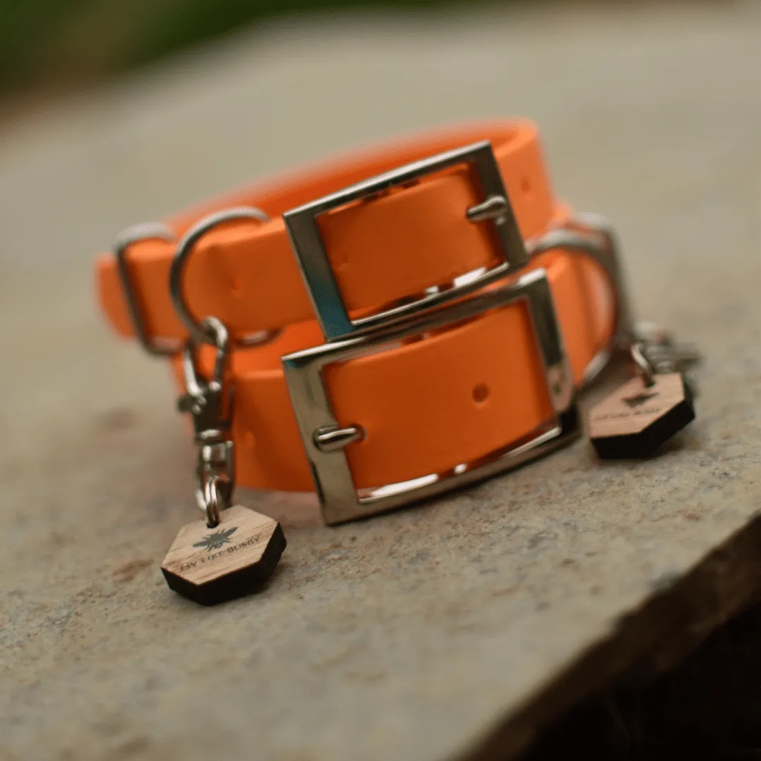 Custom Classic Biothane Collars