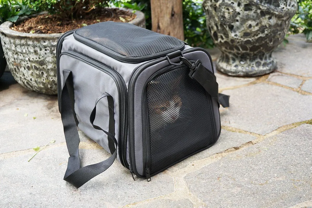 Expandable Pet Carrier