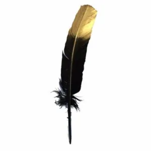 Gold Tipped Black Turkey Wing