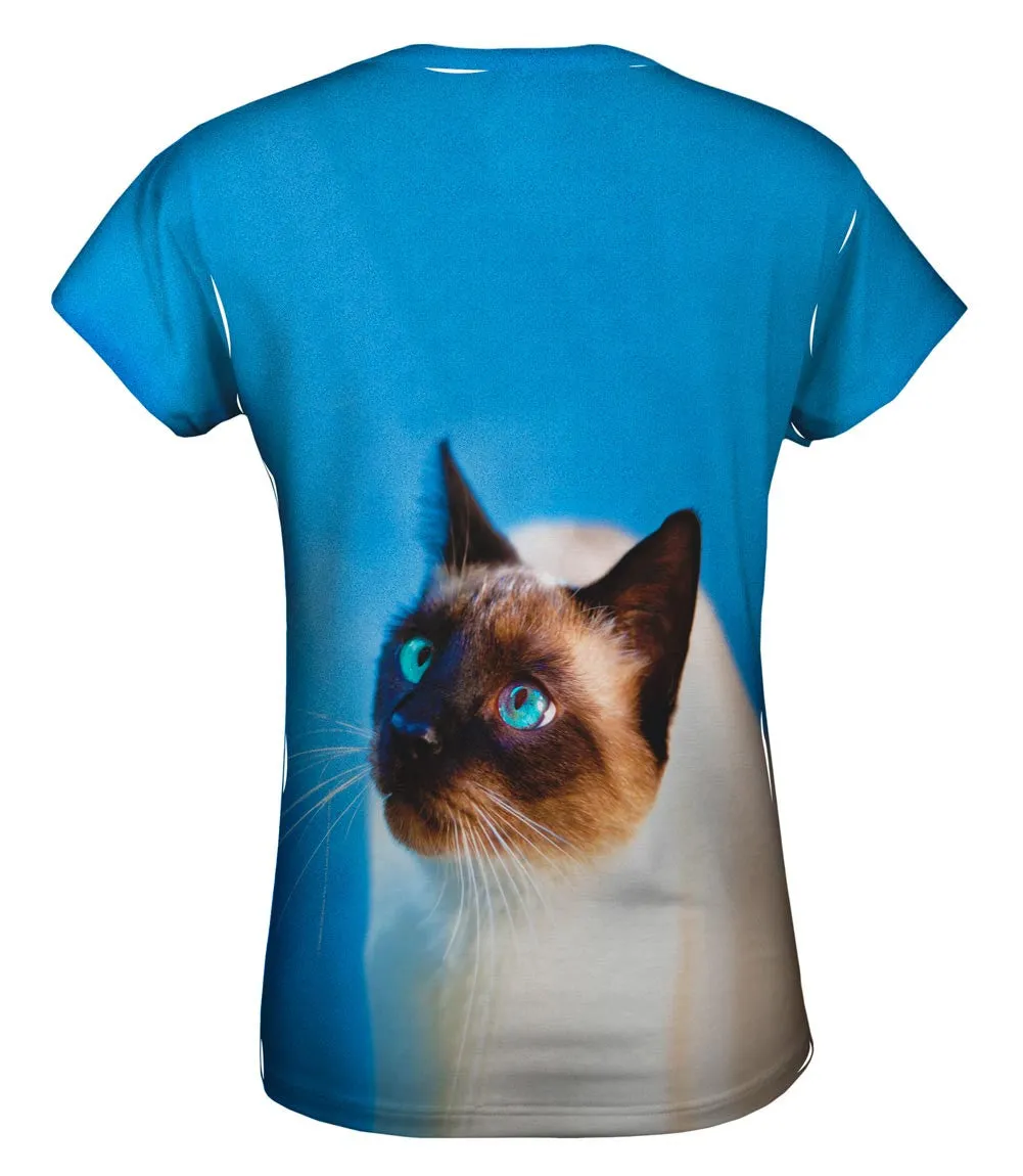 Gorgeous Eyes Siamese Cat