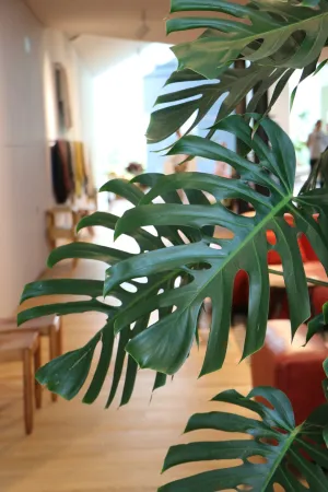 Gorgeous Paper Table