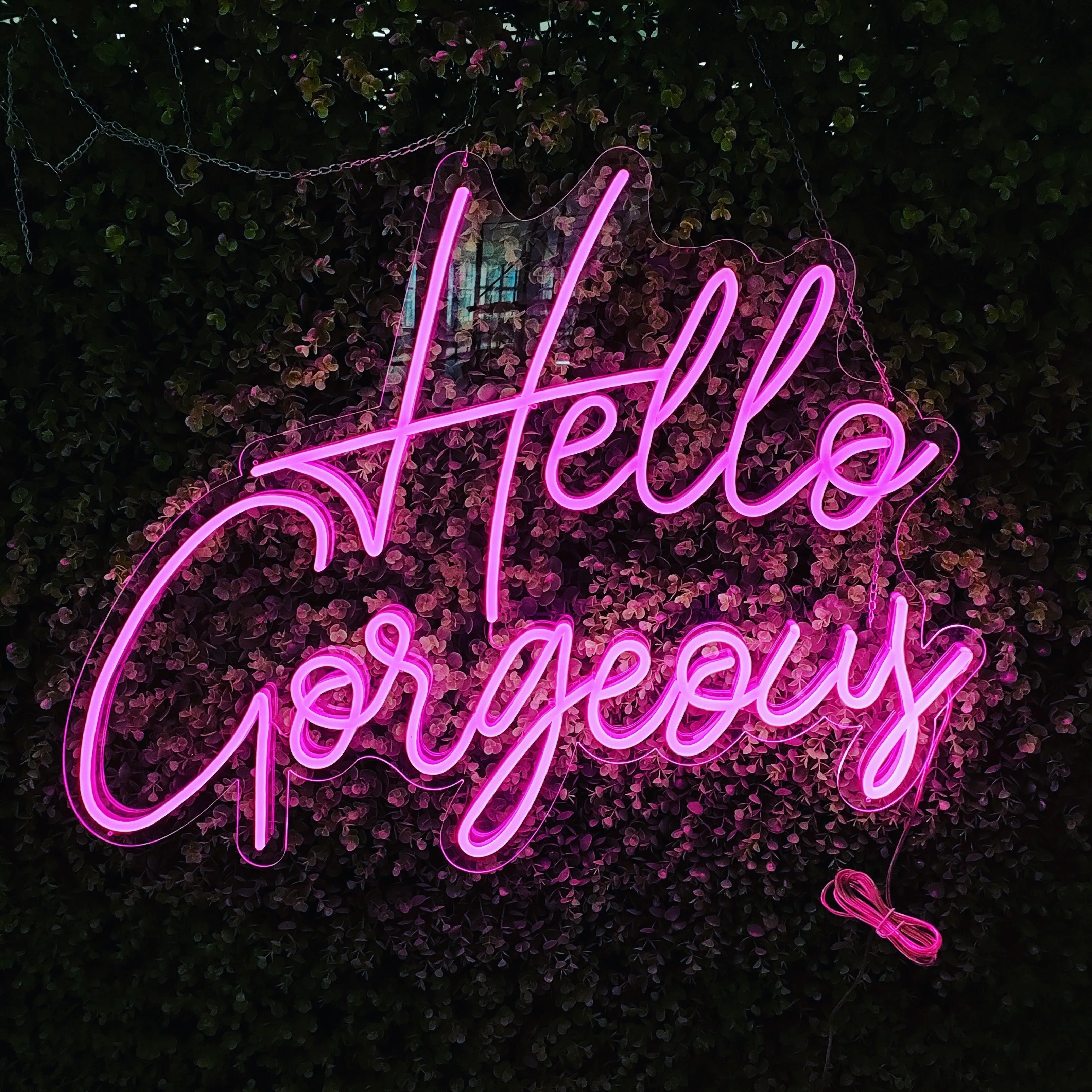 Hello Gorgeous LED Neon Sign