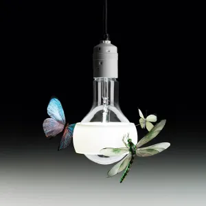 Johnny B. pendant
