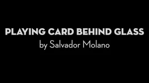 Playing Card Behind Glass by Salvador Molano - INSTANT DOWNLOAD