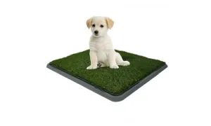 Rex Potty Patch 41 x 51cm
