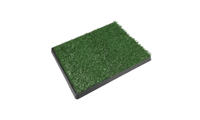 Rex Potty Patch 41 x 51cm