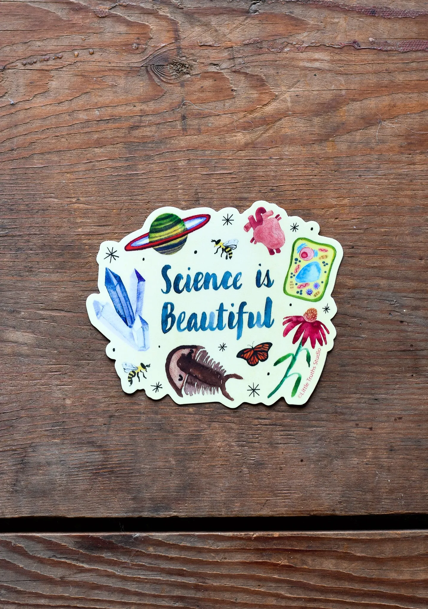 Science Is Beautiful Sticker