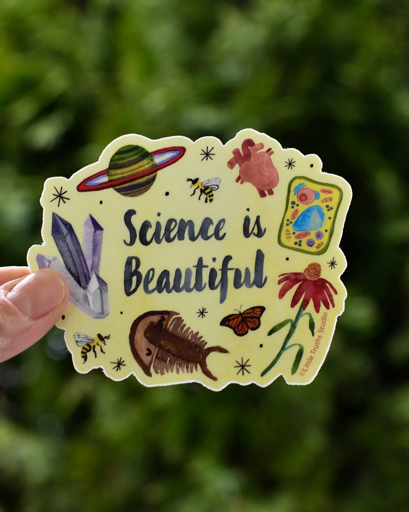 Science Is Beautiful Sticker