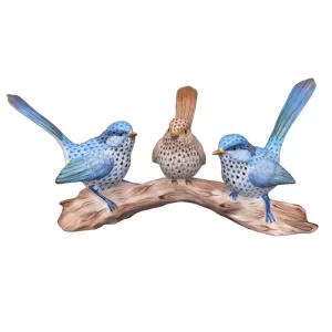 Trio of Splendid Fairywrens